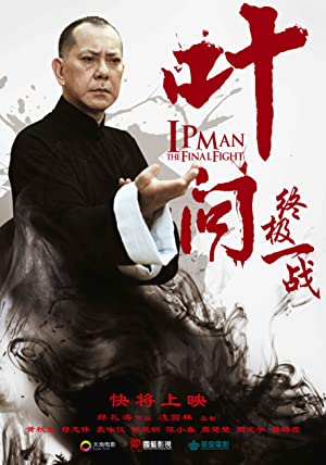 Ip Man: Son Dövüş