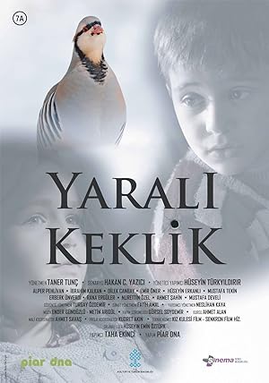 Yaralı Keklik