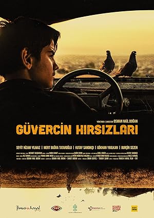 Güvercin Hırsızları