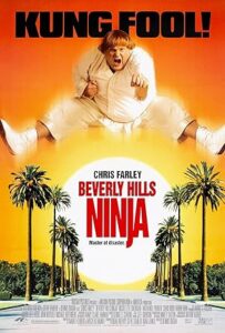 Beverly Hills Ninjası