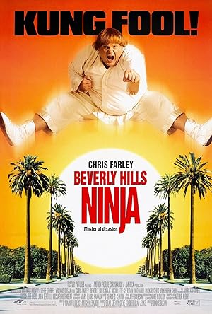 Beverly Hills Ninjası