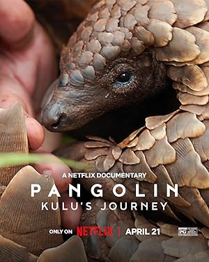 Pangolin: Kulu’nun Yolculuğu