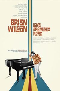 Brian Wilson: Vadedilen Uzun Yol